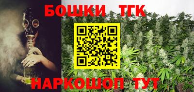 индика Мариинск
